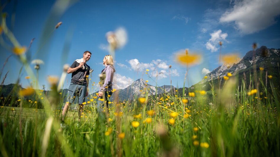 Nordic Walking Bewegungsarena - Panoramarunde (M 5) - Touren-Impression #2.3 | © Tourismusverband Schladming-Dachstein