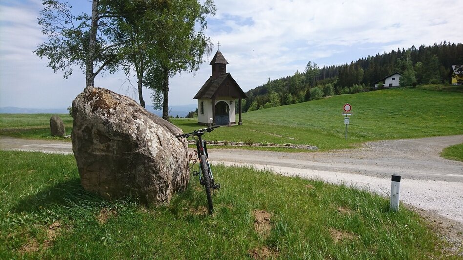 Mountain Biking Bad Schwanberg-Glashütten-Tour - Touren-Impression #2.3 | © TVB Südsteiermark/Martin Dam