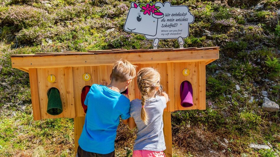 Wanderung Kinder-Erlebnisweg am Hauser Kaibling - Touren-Impression #2.2 | © Hauser Kaibling