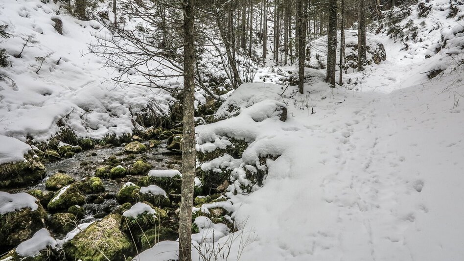 Schneeschuhwandern Siebensee - Touren-Impression #2.2 | © TV Gesäuse