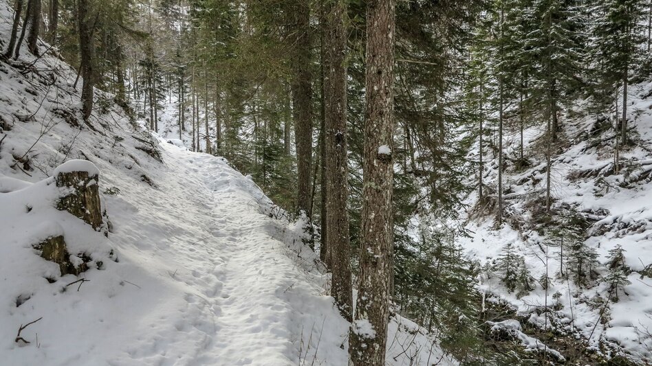 Schneeschuhwandern Siebensee - Touren-Impression #2.5 | © TV Gesäuse