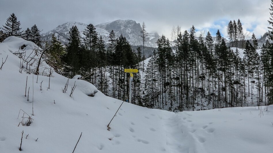 Schneeschuhwandern Siebensee - Touren-Impression #2.6 | © TV Gesäuse