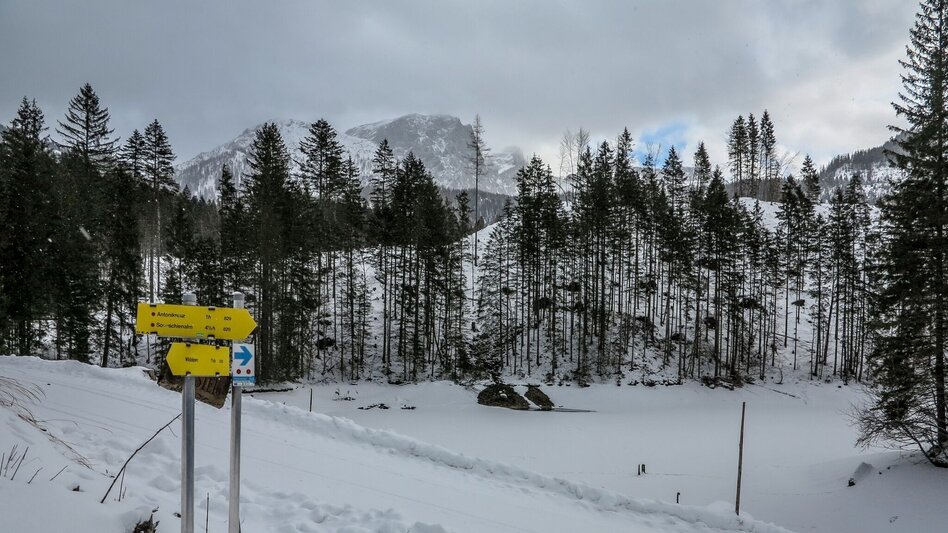 Schneeschuhwandern Siebensee - Touren-Impression #2.7 | © TV Gesäuse