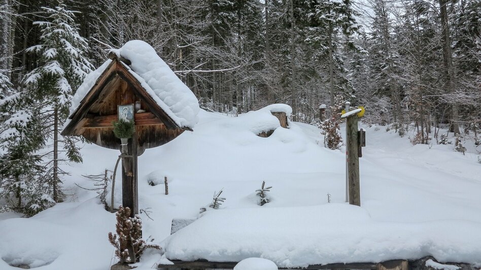 Schneeschuhwandern Siebensee - Touren-Impression #2.8 | © TV Gesäuse