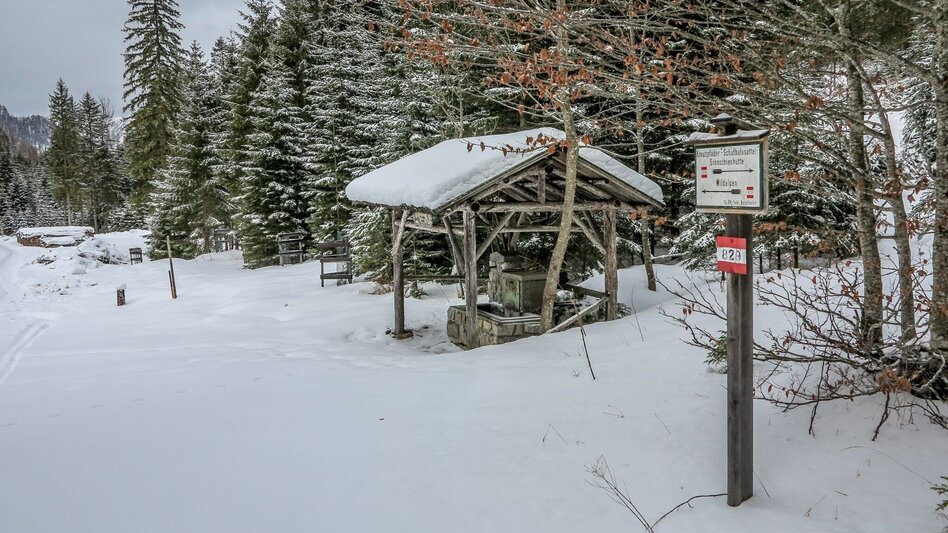 Schneeschuhwandern Siebensee - Touren-Impression #2.9 | © TV Gesäuse