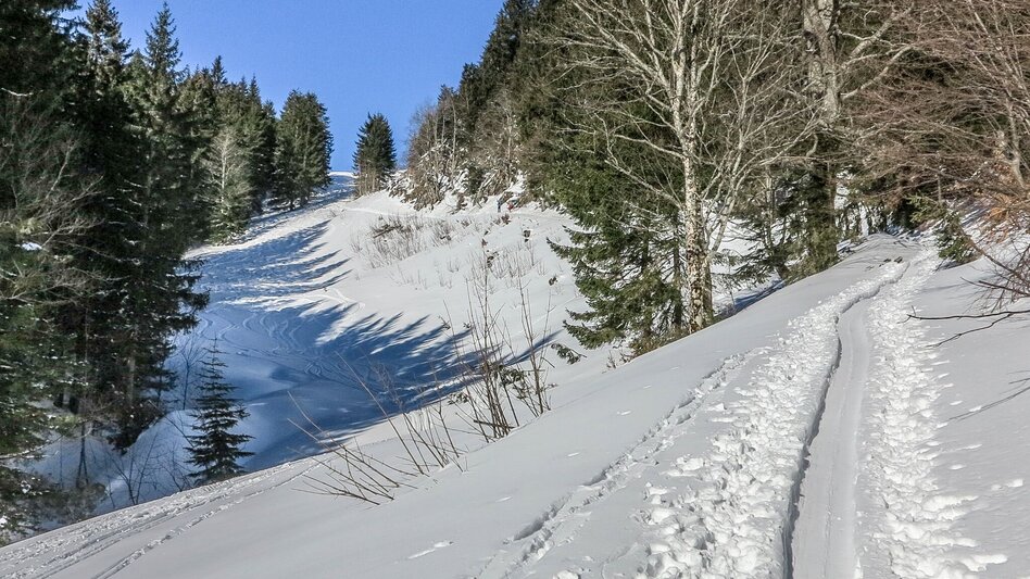 Skitour Skitour Großes Maiereck - Touren-Impression #2.2 | © TV Gesäuse