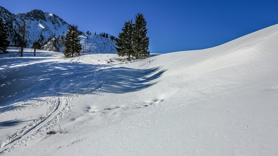 Skitour Skitour Großes Maiereck - Touren-Impression #2.3 | © TV Gesäuse