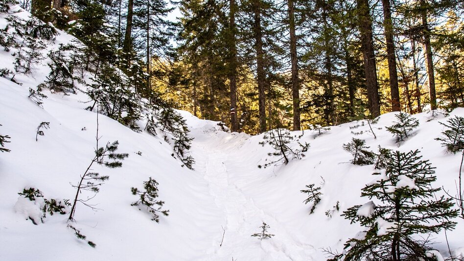Schneeschuhwandern Lerchgraben Wildalpen - Touren-Impression #2.3 | © TV Gesäuse