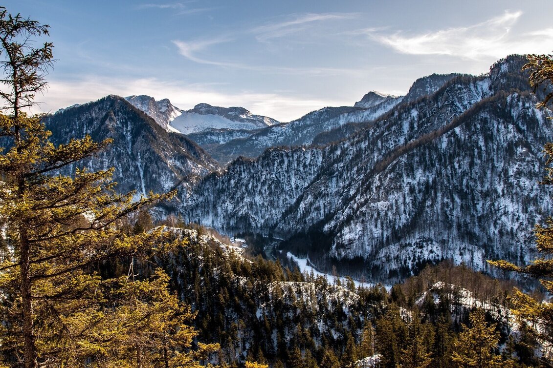 Schneeschuhwandern Lerchgraben Wildalpen - Touren-Impression #1 | © TV Gesäuse