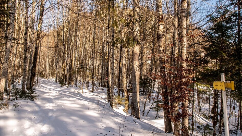 Schneeschuhwandern Lerchgraben Wildalpen - Touren-Impression #2.6 | © TV Gesäuse