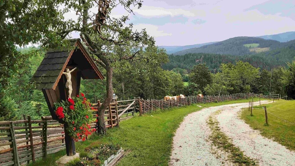 Hiking Route Hike to the Katharinenstein, St. Kathrein am Hauenstein - Touren-Impression #2.3 | © Oststeiermark Tourismus