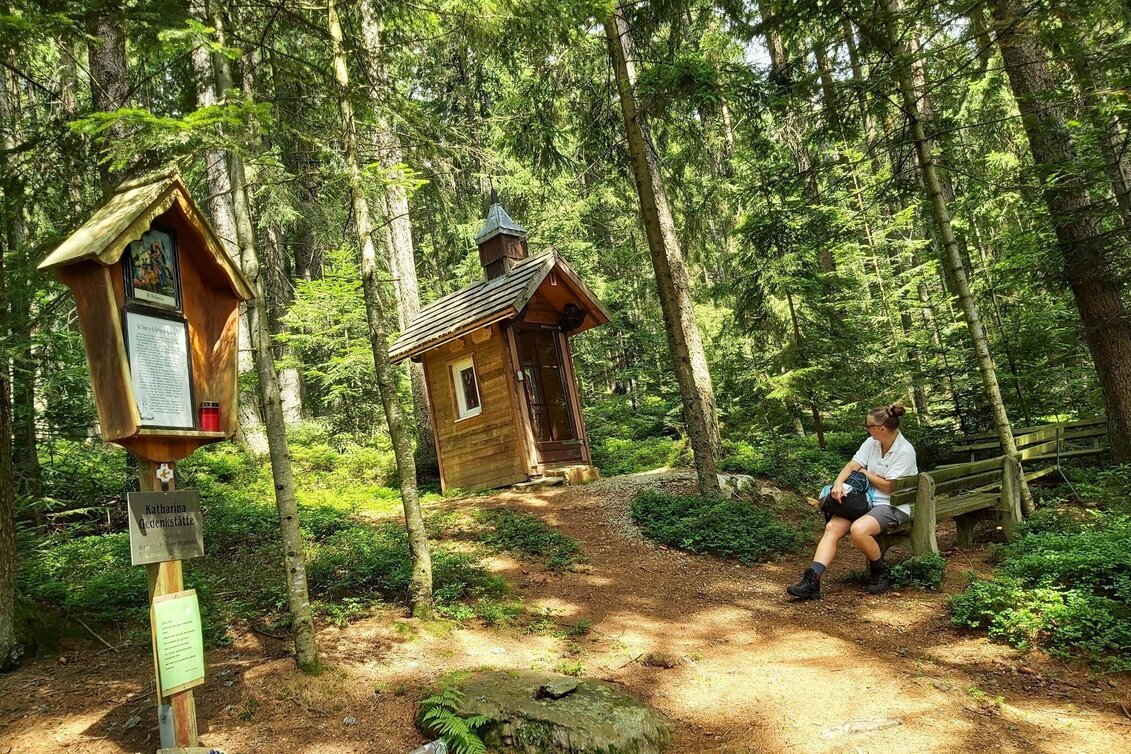 Hiking Route Hike to the Katharinenstein, St. Kathrein am Hauenstein - Touren-Impression #1 | © Oststeiermark Tourismus
