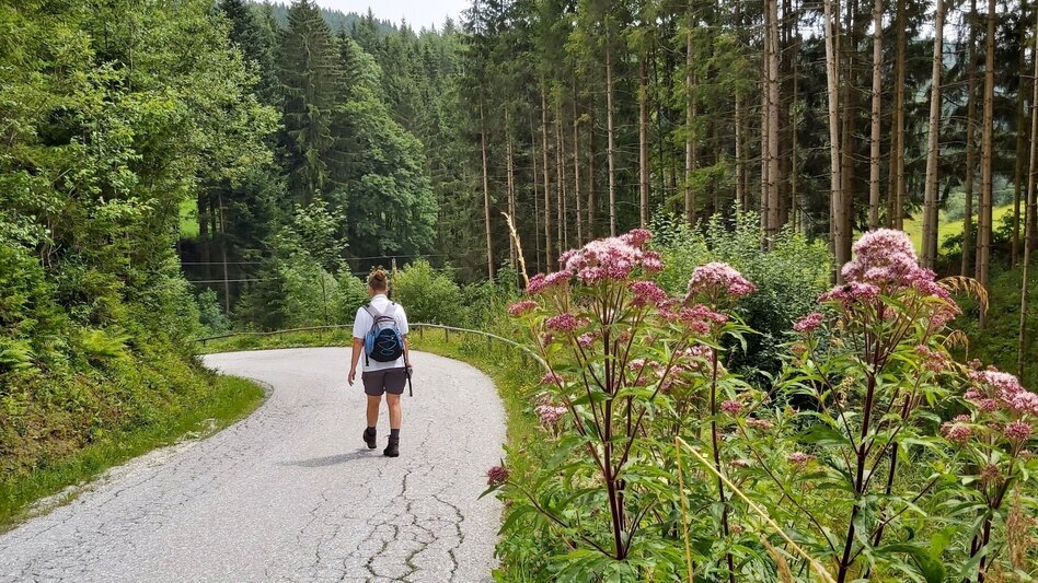 Hiking Route Hike to the Katharinenstein, St. Kathrein am Hauenstein - Touren-Impression #2.10 | © Oststeiermark Tourismus
