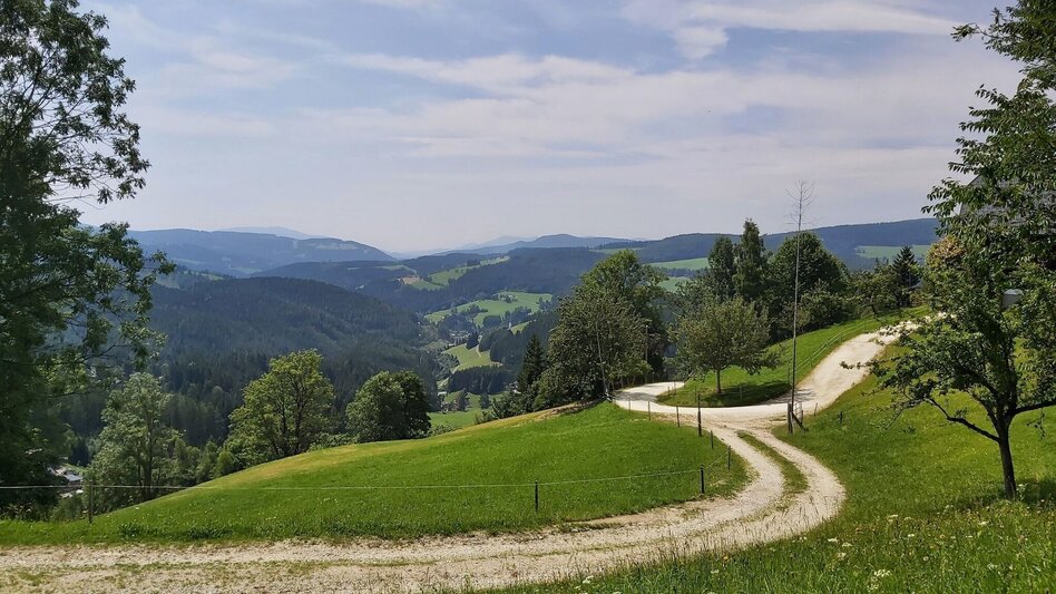 Hiking Route Hike to the Katharinenstein, St. Kathrein am Hauenstein - Touren-Impression #2.2 | © Oststeiermark Tourismus