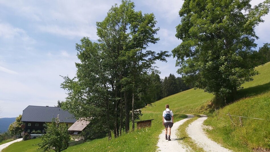 Hiking Route Hike to the Katharinenstein, St. Kathrein am Hauenstein - Touren-Impression #2.6 | © Oststeiermark Tourismus