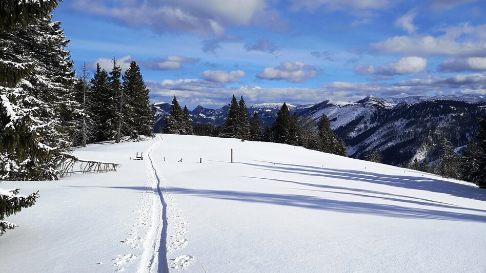 Ski Touring Skitour auf die Wildalpe - Touren-Impression #2.1 | © TV Hochsteiermark