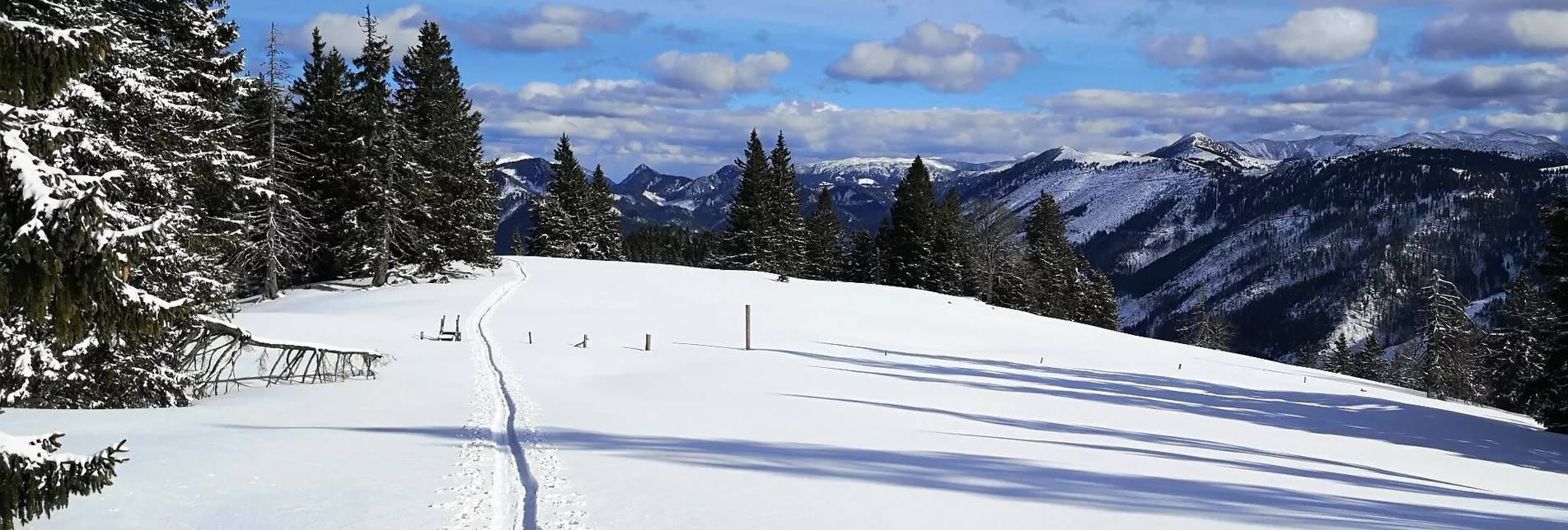 Skitour Skitour auf die Wildalpe - Touren-Impression #1 | © TV Hochsteiermark