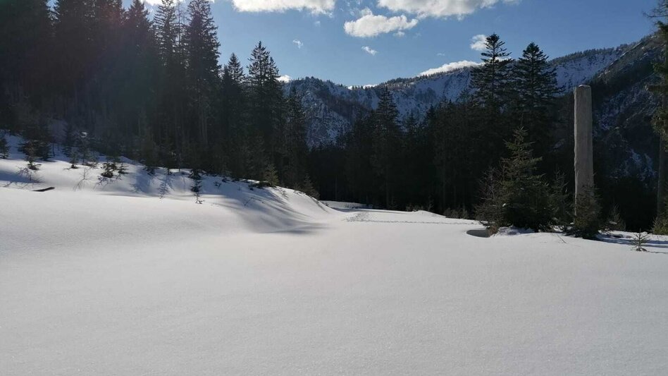 Schneeschuhwandern Hinterwildalpen  Lurgrunde - Touren-Impression #2.2 | © TV Gesäuse