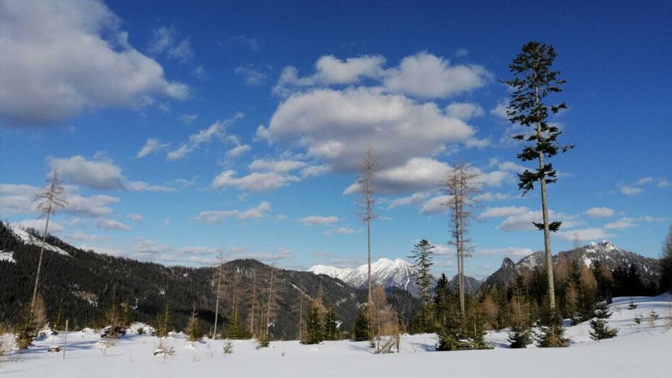 Schneeschuhwandern Hinterwildalpen  Lurgrunde - Touren-Impression #2.4 | © TV Gesäuse