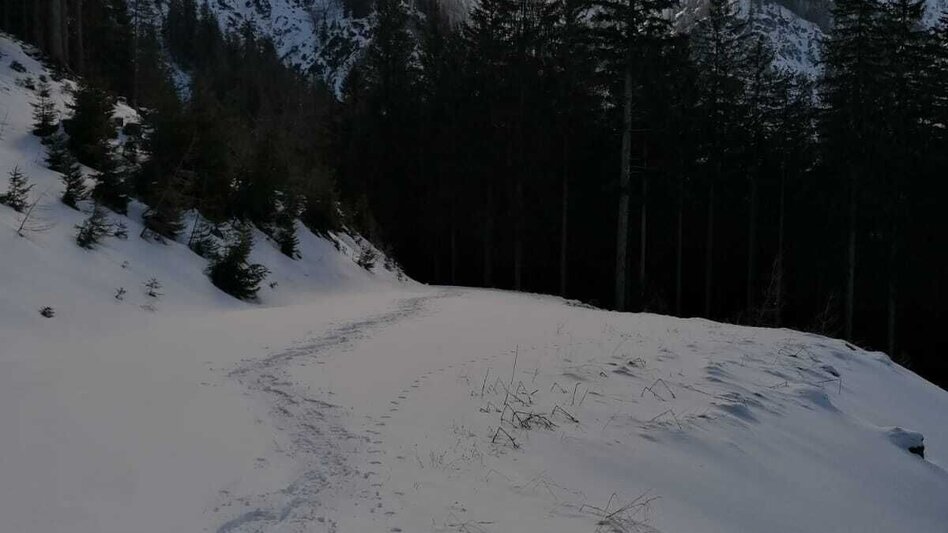 Schneeschuhwandern Hinterwildalpen  Lurgrunde - Touren-Impression #2.5 | © TV Gesäuse