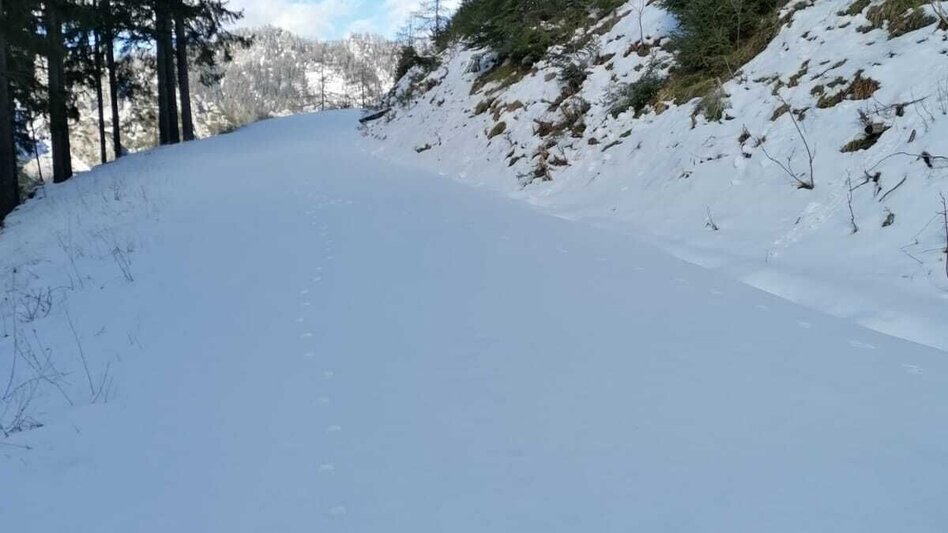 Schneeschuhwandern Hinterwildalpen  Lurgrunde - Touren-Impression #2.7 | © TV Gesäuse