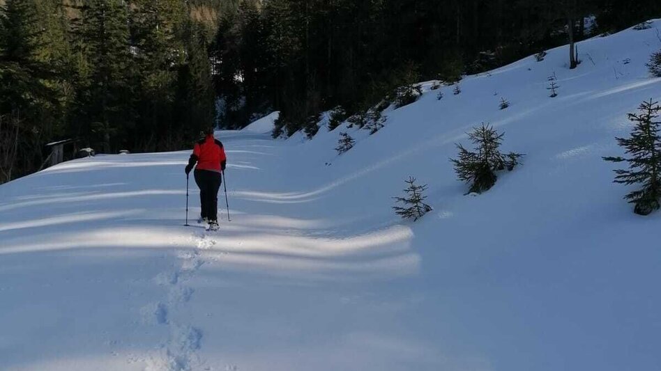 Schneeschuhwandern Hinterwildalpen  Lurgrunde - Touren-Impression #2.8 | © TV Gesäuse