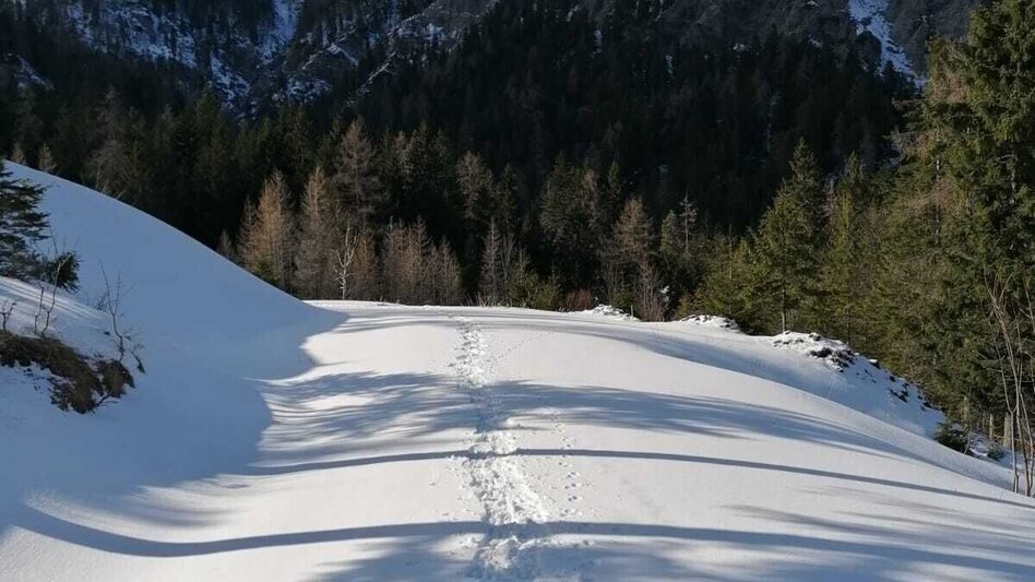 Schneeschuhwandern Hinterwildalpen  Lurgrunde - Touren-Impression #2.9 | © TV Gesäuse