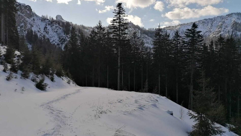 Schneeschuhwandern Hinterwildalpen  Lurgrunde - Touren-Impression #2.10 | © TV Gesäuse