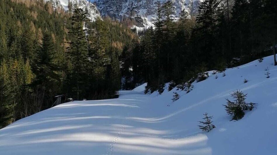 Schneeschuhwandern Hinterwildalpen  Lurgrunde - Touren-Impression #2.11 | © TV Gesäuse