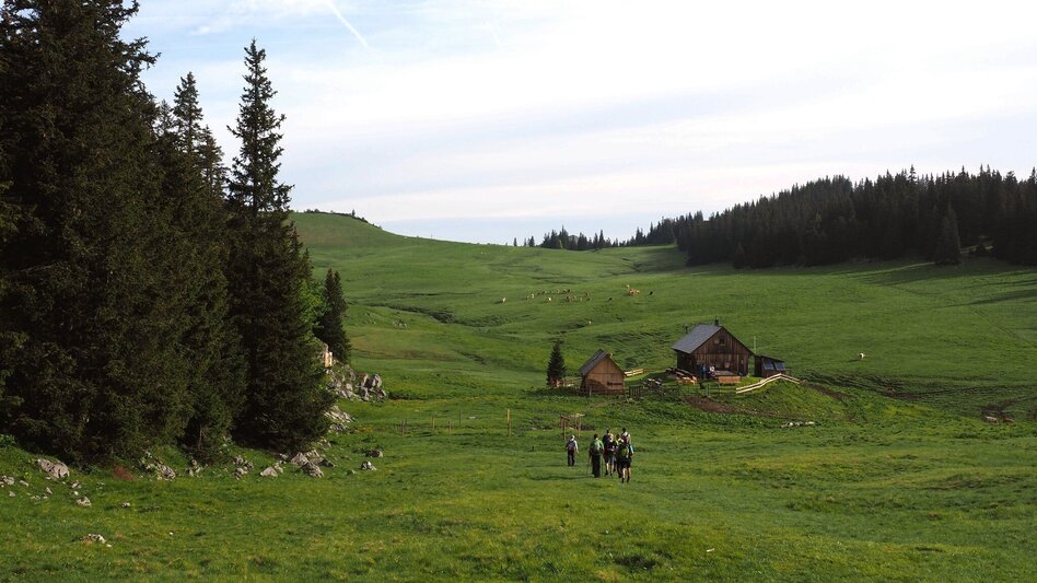 Wanderung Über die Wetterin auf die Tonion im Naturpark Mürzer Oberland - Touren-Impression #2.1 | © TV Hochsteiermark