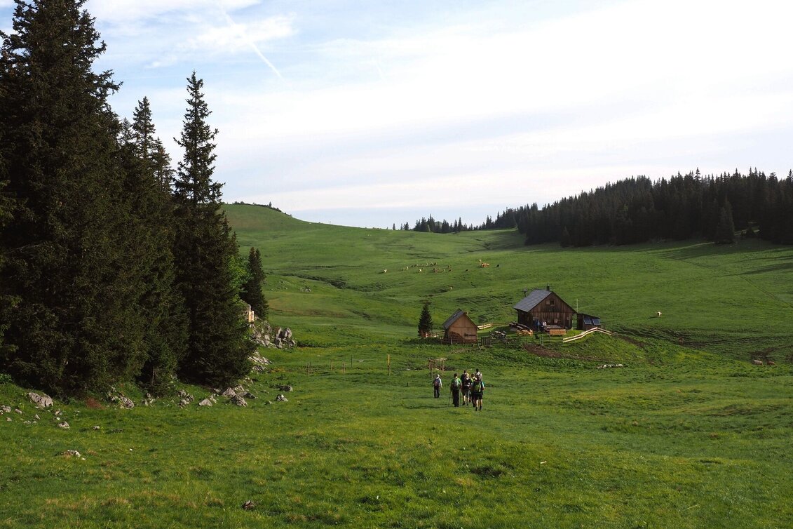 Wanderung Über die Wetterin auf die Tonion im Naturpark Mürzer Oberland - Touren-Impression #1 | © TV Hochsteiermark