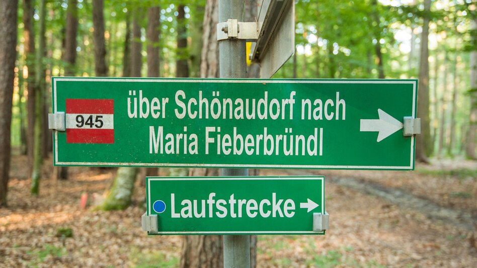 Wanderung Große Schönauklamm-Runde, Pöllau - Touren-Impression #2.1 | © Oststeiermark Tourismus