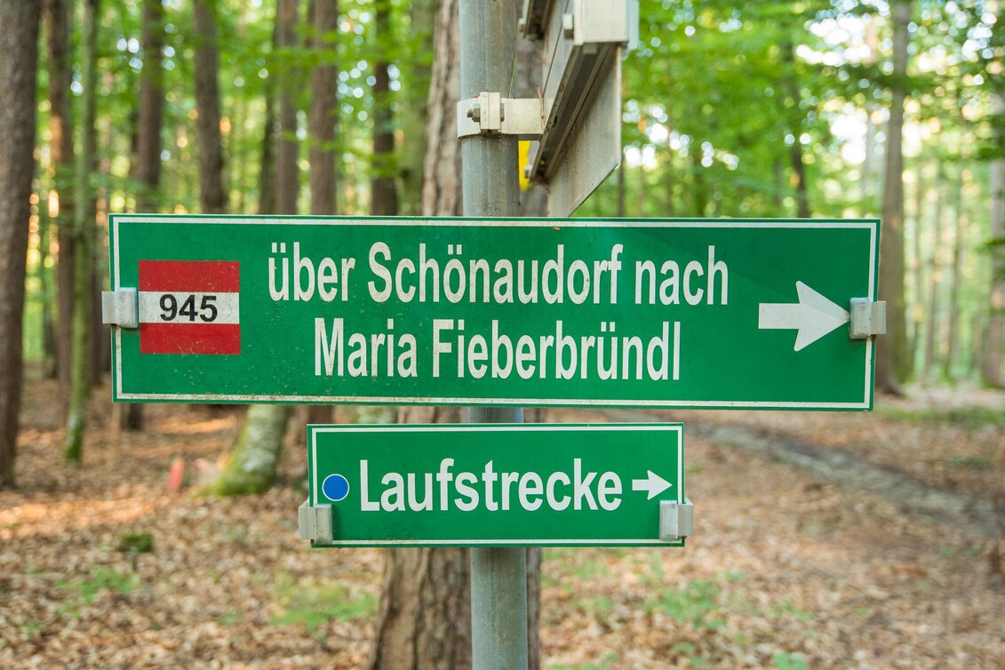 Wanderung Große Schönauklamm-Runde, Pöllau - Touren-Impression #1 | © Oststeiermark Tourismus