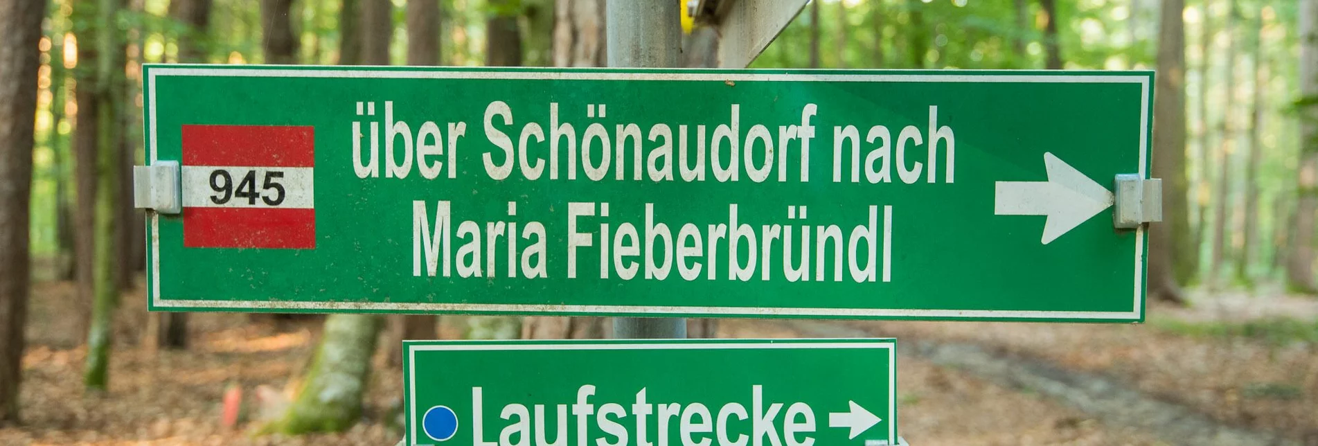 Hiking route Large Schönauklamm-circuit, Pöllau - Touren-Impression #1 | © Oststeiermark Tourismus