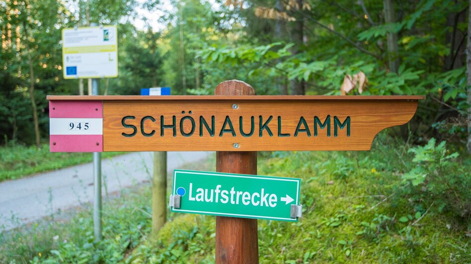 Wanderung Große Schönauklamm-Runde, Pöllau - Touren-Impression #2.3 | © Oststeiermark Tourismus