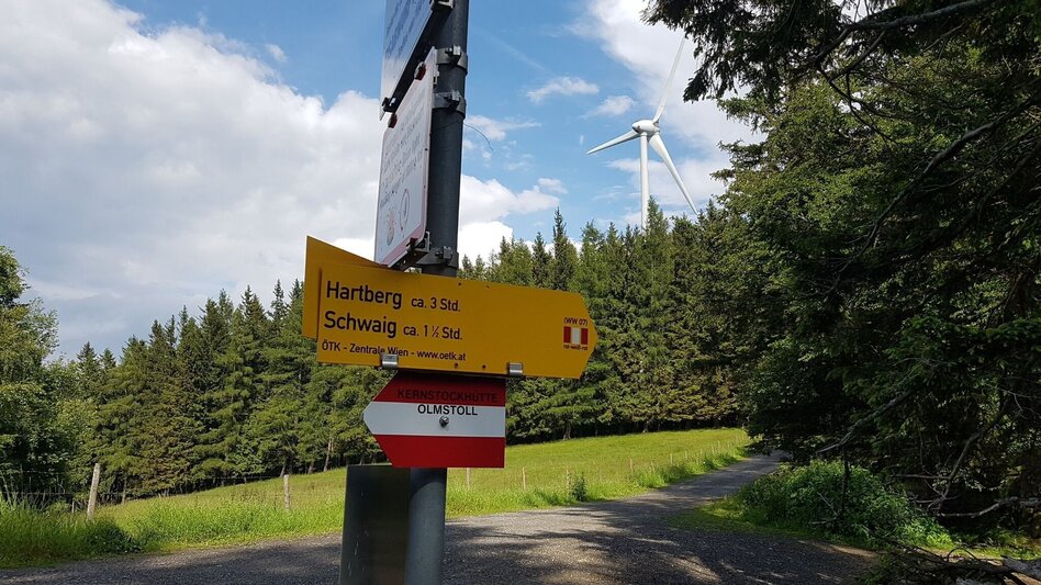 Wanderung Pöllau-Runde über Masenberg, Pöllau - Touren-Impression #2.9 | © Oststeiermark Tourismus