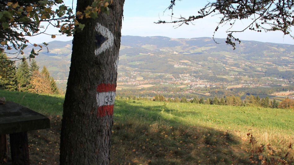 Wanderung Pöllau-Runde über Jochbauer, Pöllau - Touren-Impression #2.2 | © Hermann Auerbäck