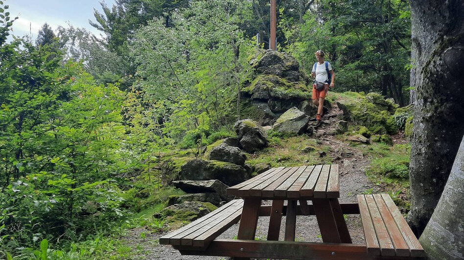 Wanderung Pöllau-Runde über Jochbauer, Pöllau - Touren-Impression #2.4 | © Oststeiermark Tourismus