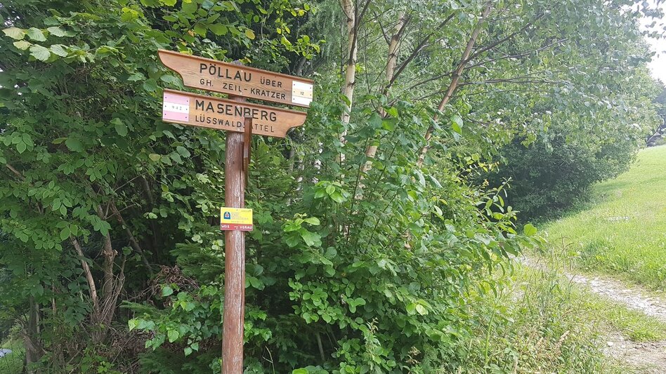 Hiking Route Masenberg via Schwaig, Pöllauberg - Touren-Impression #2.11 | © Oststeiermark Tourismus