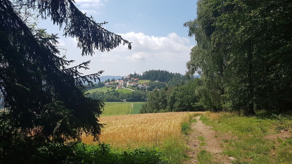 Wanderung Pöllauberg-Runde über Masenberg und Schloffereck, Pöllauberg - Touren-Impression #2.2 | © Oststeiermark Tourismus
