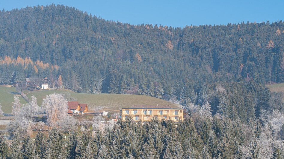 Wanderung Pöllauberg-Runde über Masenberg und Schloffereck, Pöllauberg - Touren-Impression #2.6 | © Oststeiermark Tourismus
