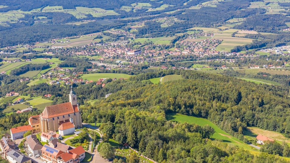 Hiking Route Pöllauberg circuit via Pöllau, Pöllauberg - Touren-Impression #2.2 | © Oststeiermark Tourismus