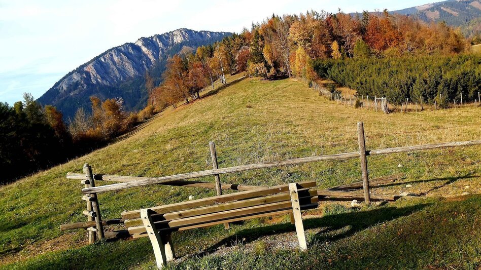 Wanderung Teichalm-Runde, Nechnitz - Touren-Impression #2.2 | © Oststeiermark Tourismus
