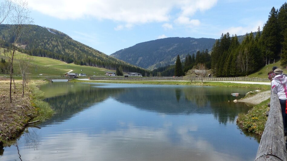 Wanderung Teichalm-Runde, Nechnitz - Touren-Impression #2.4 | © Oststeiermark Tourismus