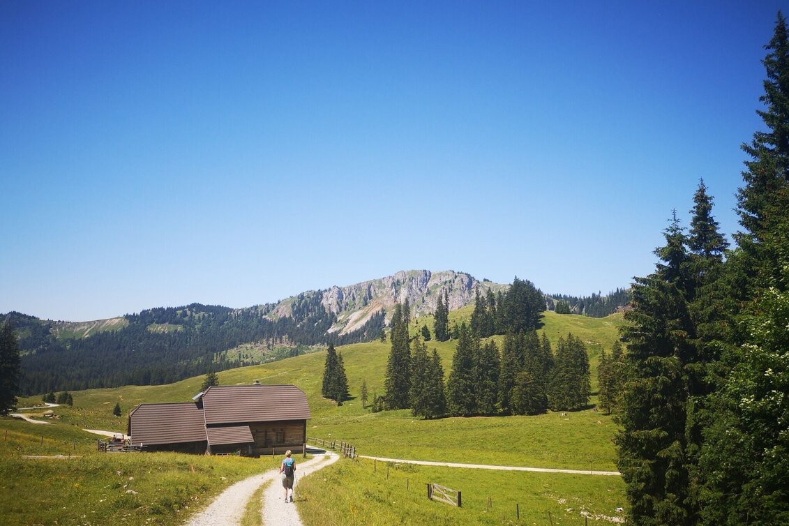 Wanderung Auf Bodenalm, Waxenegg und Donnerwand im Naturpark Mürzer Oberland - Touren-Impression #1 | © TV Hochsteiermark