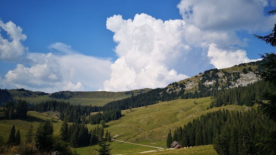 Wanderung Auf Bodenalm, Waxenegg und Donnerwand im Naturpark Mürzer Oberland - Touren-Impression #2.2 | © TV Hochsteiermark