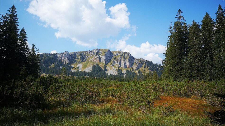 Wanderung Auf Bodenalm, Waxenegg und Donnerwand im Naturpark Mürzer Oberland - Touren-Impression #2.3 | © TV Hochsteiermark