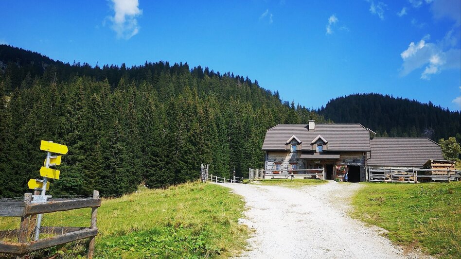 Wanderung Auf Bodenalm, Waxenegg und Donnerwand im Naturpark Mürzer Oberland - Touren-Impression #2.5 | © TV Hochsteiermark