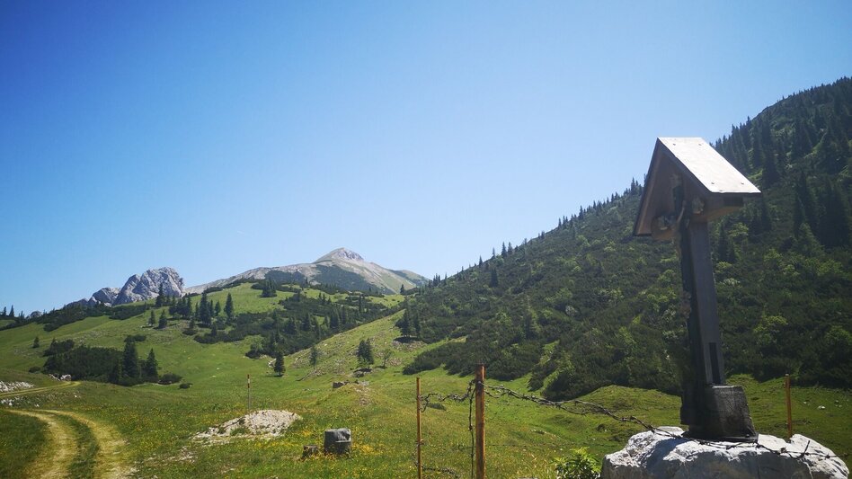 Wanderung Auf Bodenalm, Waxenegg und Donnerwand im Naturpark Mürzer Oberland - Touren-Impression #2.6 | © TV Hochsteiermark