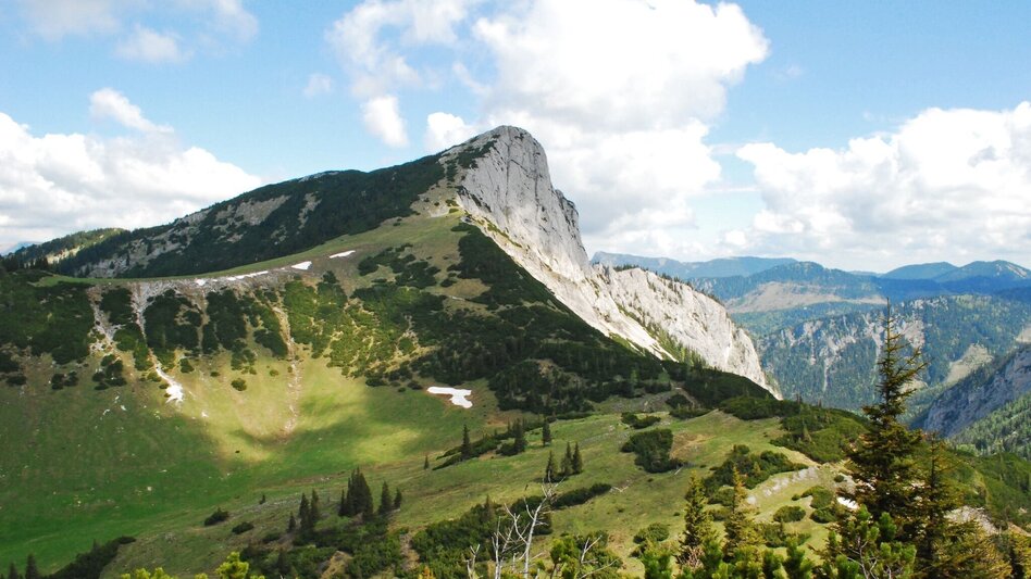 Wanderung Auf Bodenalm, Waxenegg und Donnerwand im Naturpark Mürzer Oberland - Touren-Impression #2.7 | © Alpenverein-Gebirgsverein